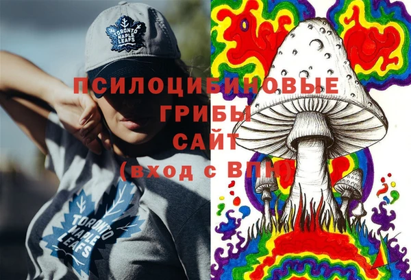 прущий лед Алексин