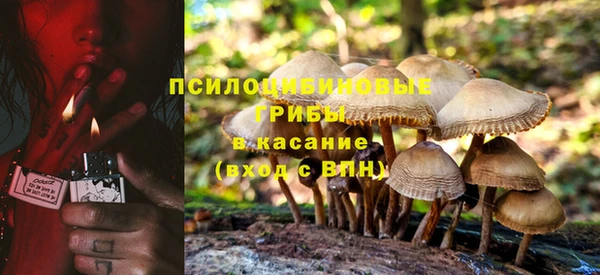 прущий лед Алексин