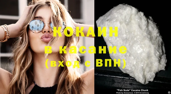 прущие крисы Абаза