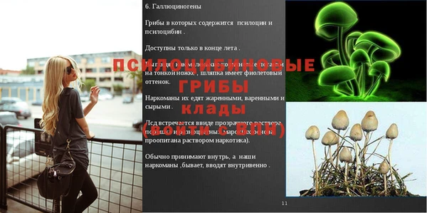 прущие крисы Абаза